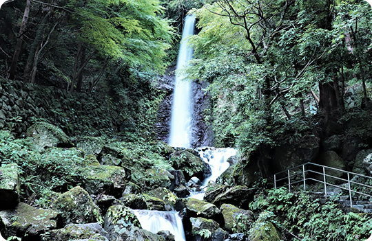 養老の滝イメージ